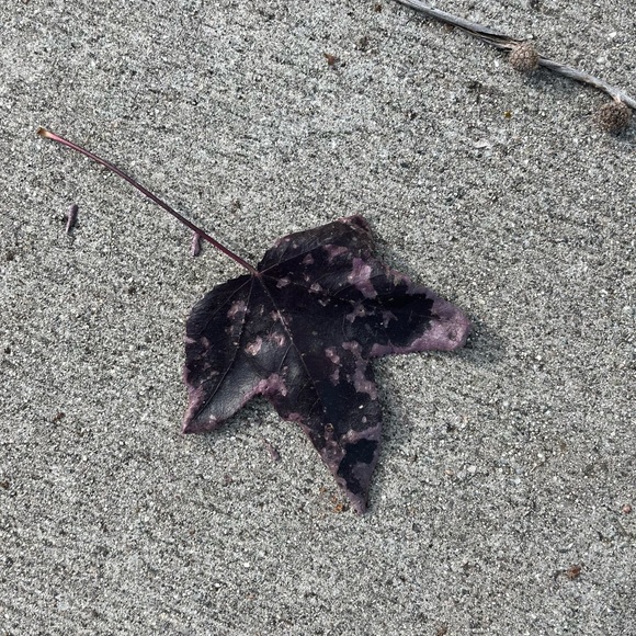 hello :) - Picture 8 of 15